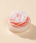 Austin Rose Scented Candle