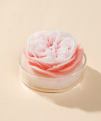 Austin Rose Scented Candle